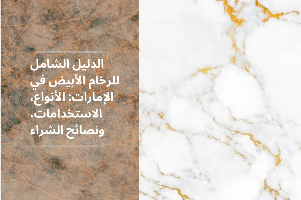 The Ultimate Guide to White Marble in UAE Types, Uses, and Buying Tips